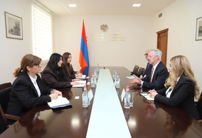 Աննա Կարապետյանն ընդունել է Ընտրական համակարգերի միջազգային հիմնադրամի նախագահին