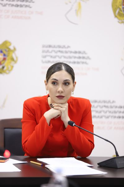 Տեղի է ունեցել Սահմանադրական բարեփոխումների խորհրդի հերթական նիստը