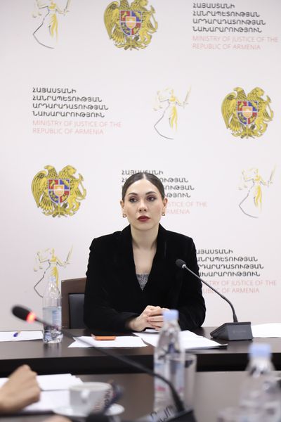 Կայացել է Սահմանադրական բարեփոխումների խորհրդի հերթական նիստը